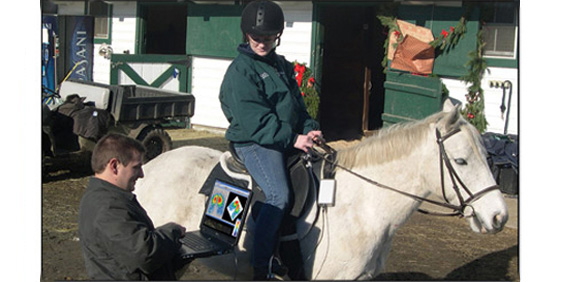 Saddle Fitting - Services
